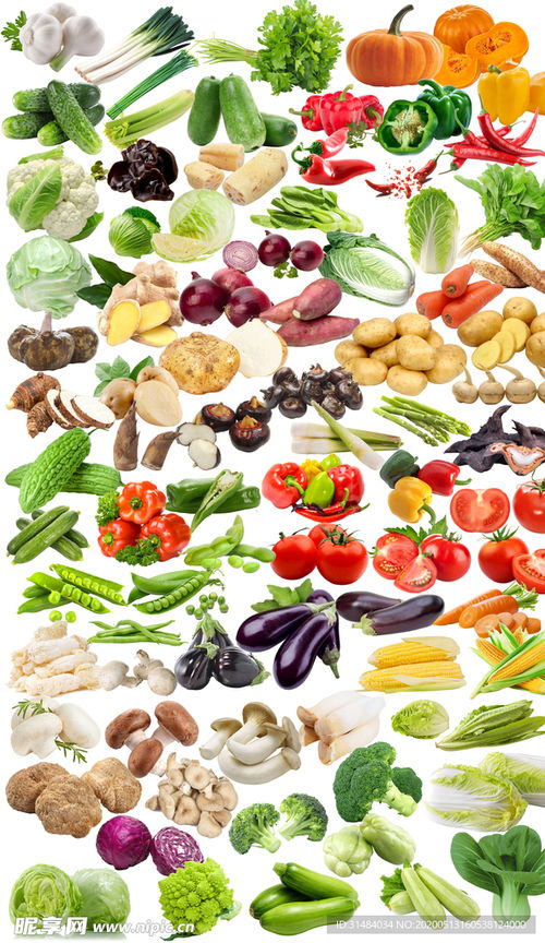 高清多款蔬菜免摳圖片設(shè)計(jì)圖 賦能創(chuàng)意與效率的視覺(jué)素材