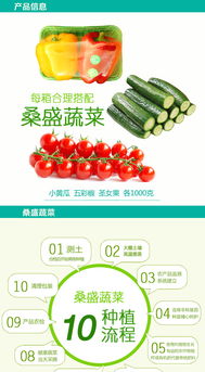 桑盛蔬菜特惠套餐 壽光特產(chǎn)，綠色健康的家庭餐桌新選擇