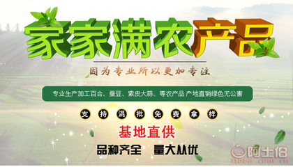 甘肅優(yōu)質(zhì)紫皮獨(dú)頭蒜 天然綠色的健康蔬菜之選