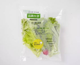 蘇州松下新植物工廠蔬菜正式出貨，科技農業開啟綠色新篇章